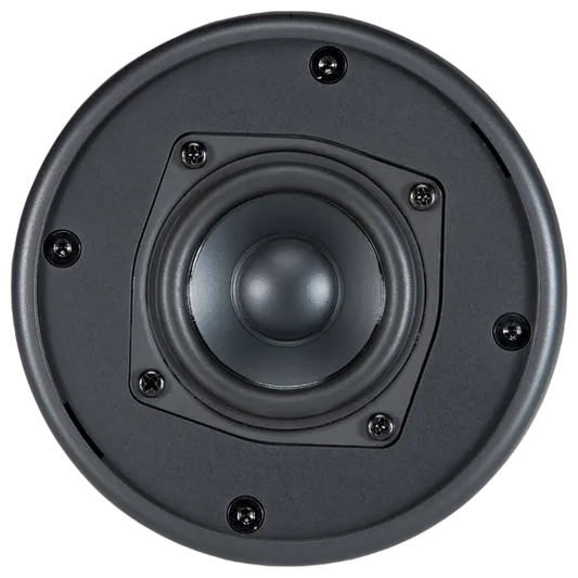JBL Control 62P (B-Stock)